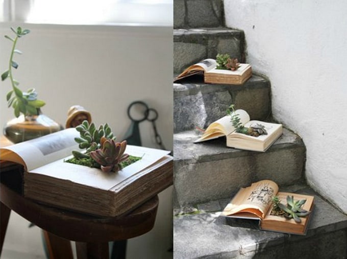 diy book planters