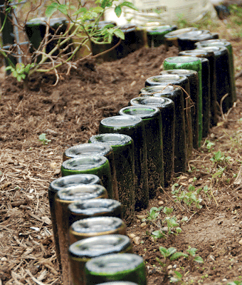 wine bottles garden border