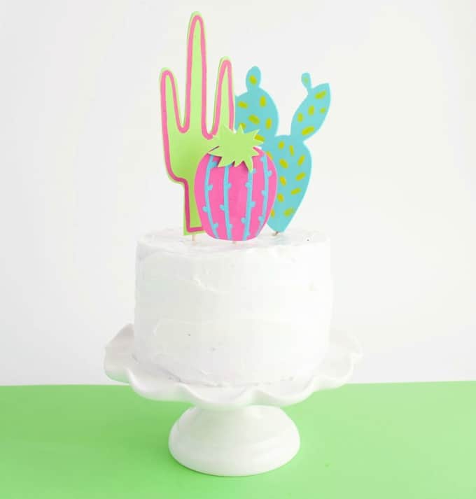 cactus cake topper