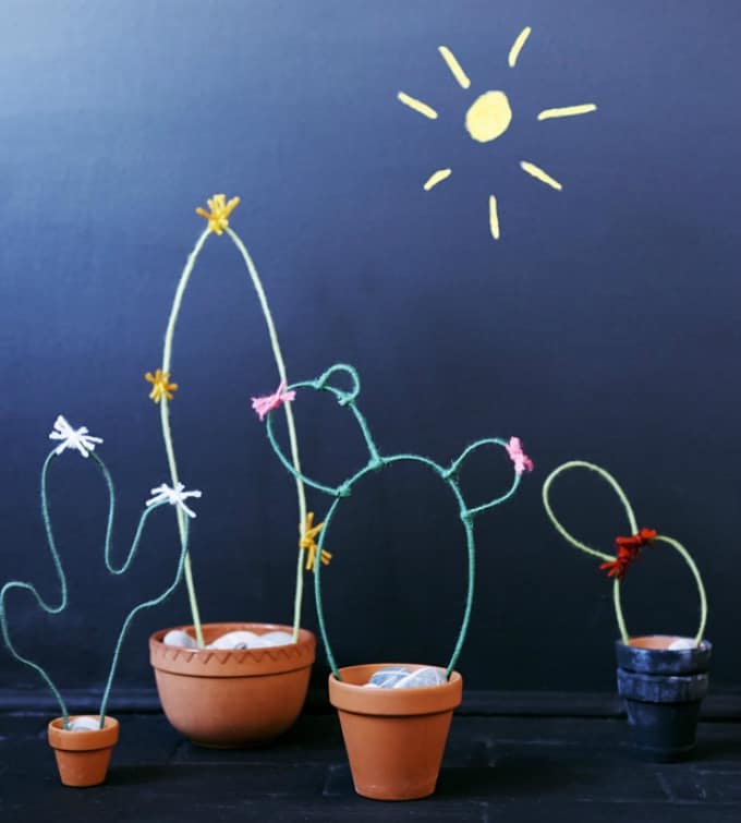 wire cacti garden