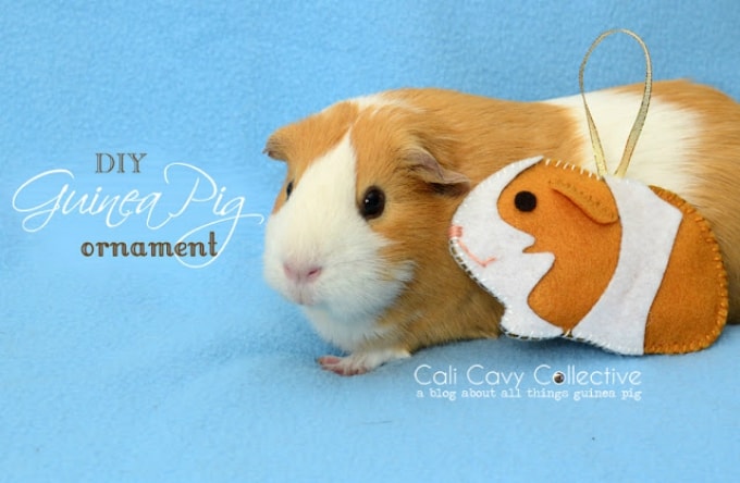 guinea pig ornament