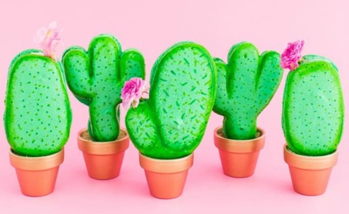 cacti macarons