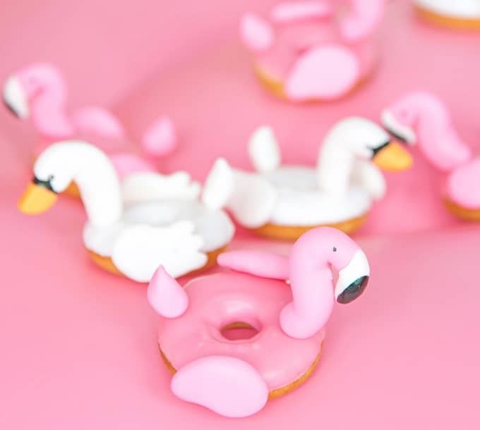 Flamingo and donut swan pool floats
