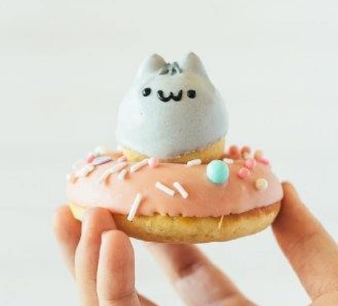 Pusheen donuts