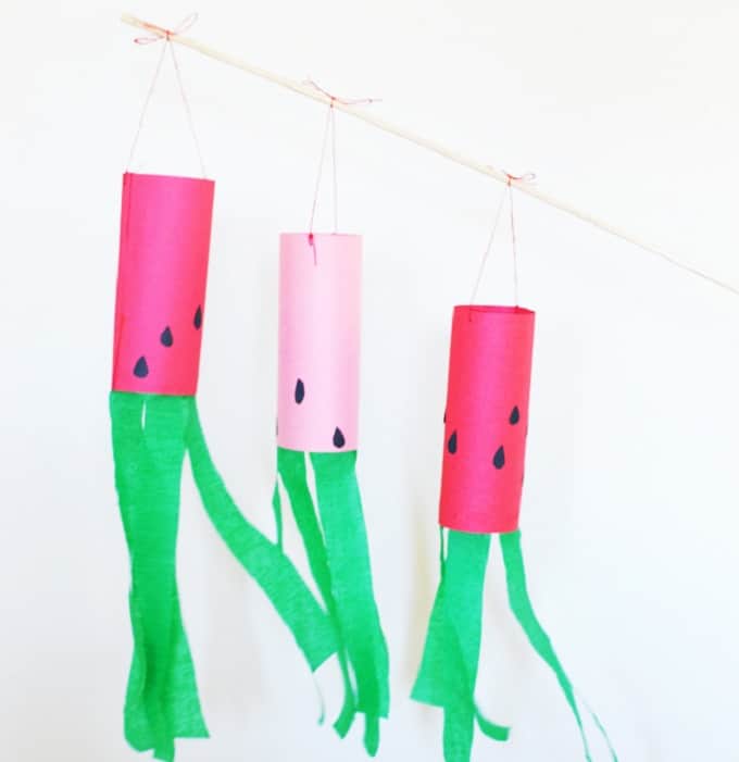 Watermelon Windsock