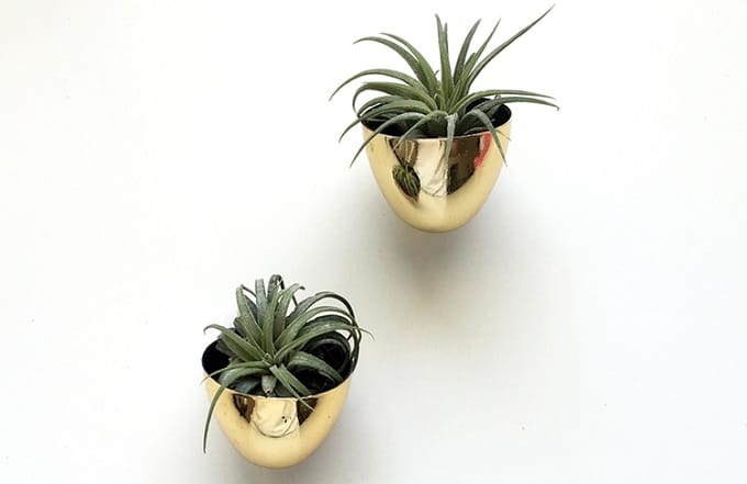 magnetic air plant holders