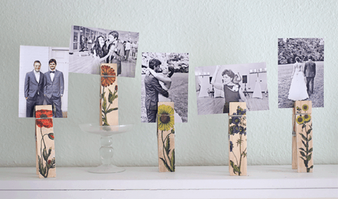 botanical photo holder clips