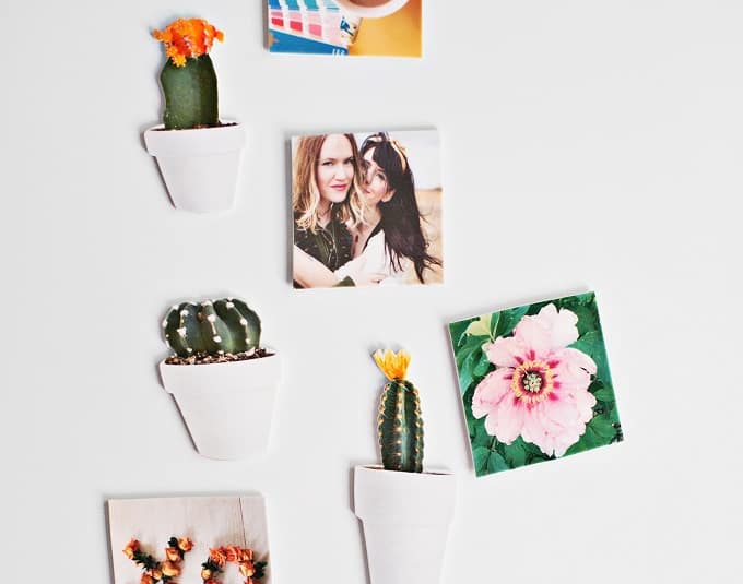 DIY cacti magnets