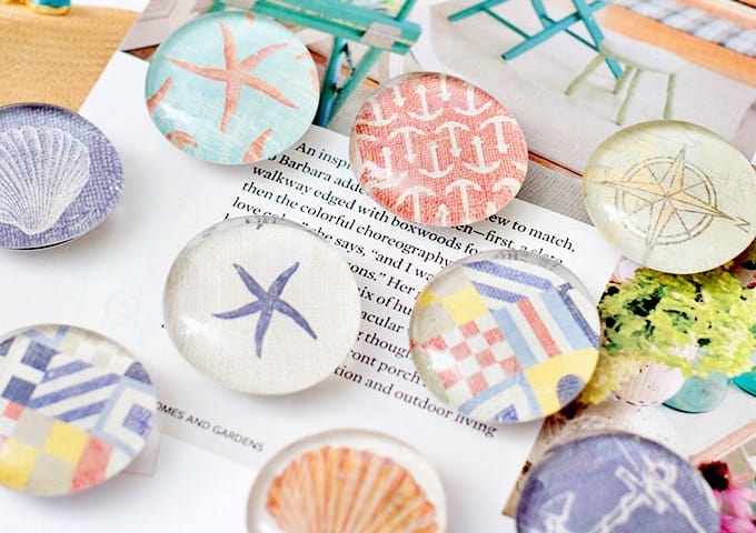sea shell magnets