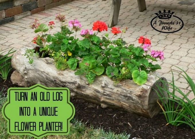 log planter