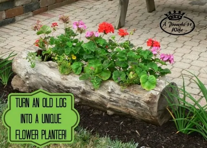 log planter