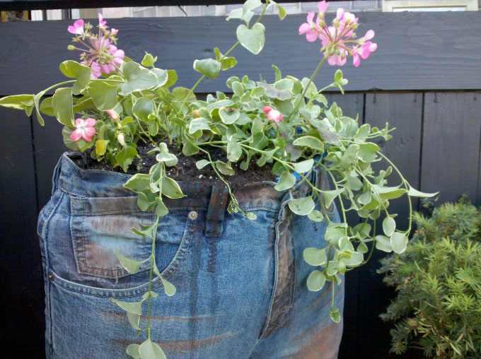 jeans flower planter