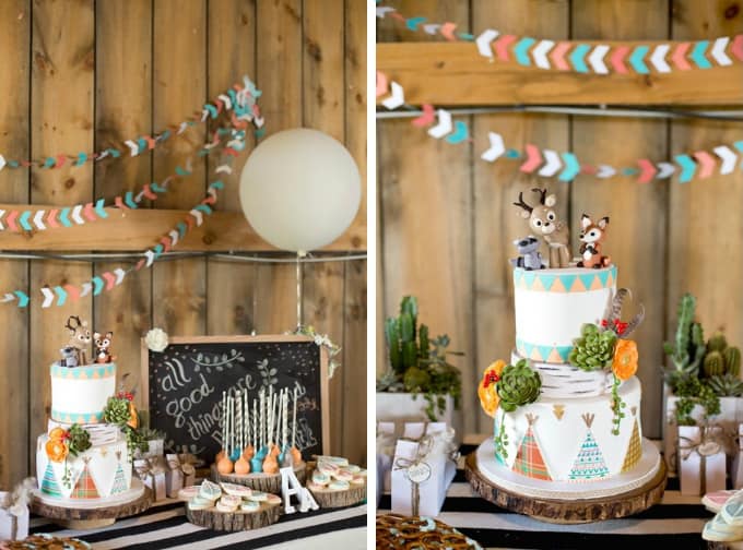 wild and free birthday party cake