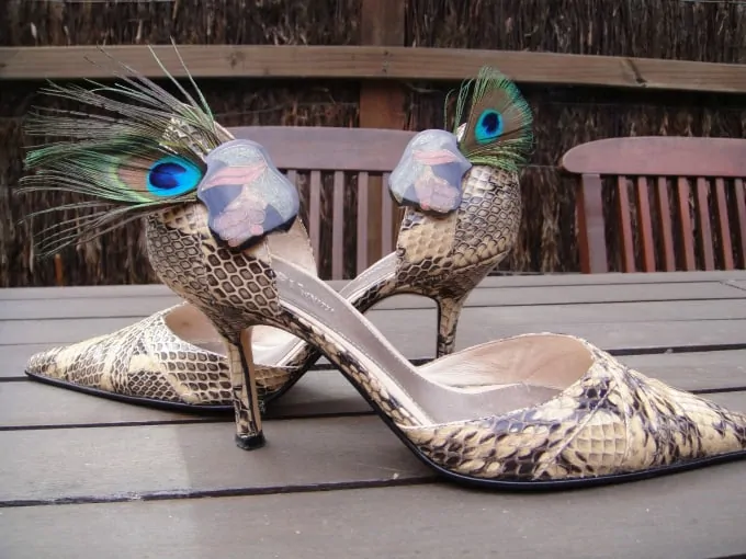 shoes with feathered clips